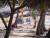 Ecole de surf