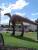 Gros DINO