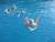 on fait du snorkeling