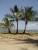 Paradis ...