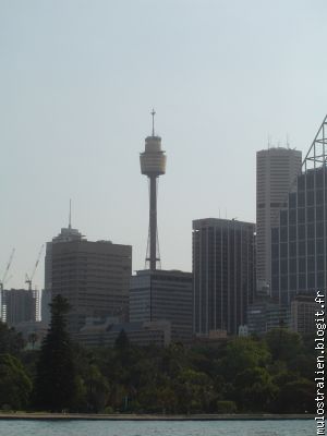 SYDNEY TOWER