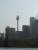 SYDNEY TOWER